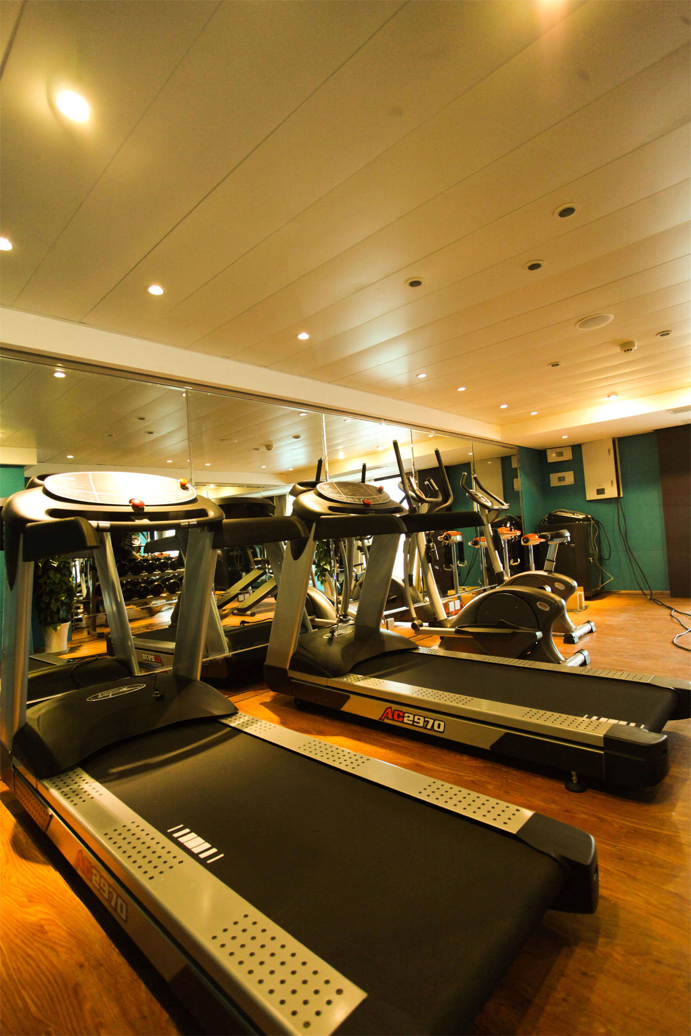 Century Cruises